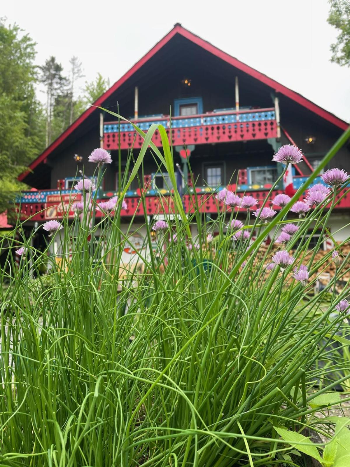 Grunberg Haus Inn & Cabins Waterbury Zewnętrze zdjęcie